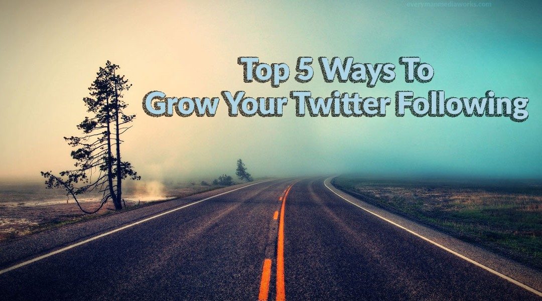 Top 5 Ways To Grow Your Twitter Following